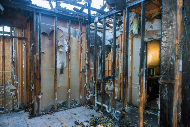 Professional Smoke Damage Removal technician working in Silver Lake, MN